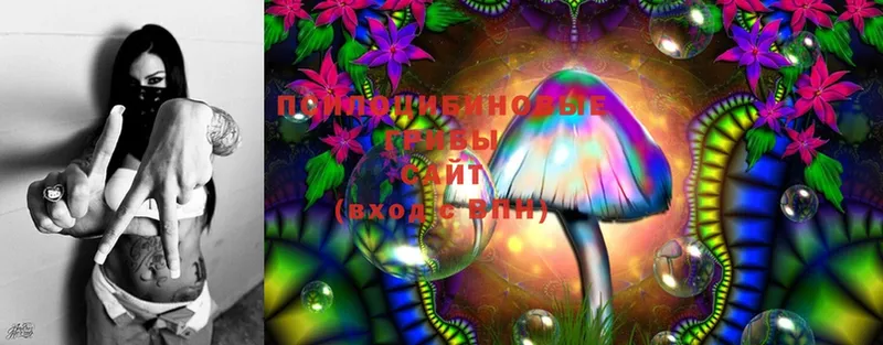 Псилоцибиновые грибы MAGIC MUSHROOMS  купить наркотик  Баксан 